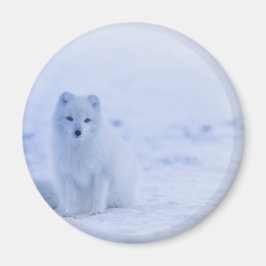 Schöner arktischer Fox Magnet