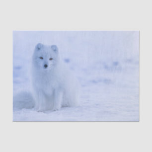 Schöner arktischer Fox Seidenpapier