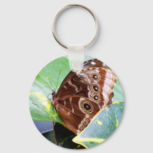 Schöner Augenfalter Schmetterling Motte braun Beig Schlüsselanhänger