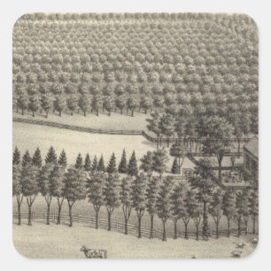 Schöner Bauernhof, Nebraska Quadratischer Aufkleber