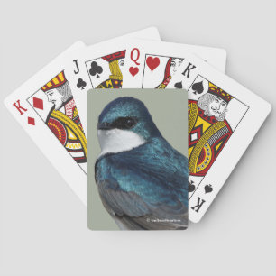 Schöner Baumschlamm Songbird auf einem Draht Spielkarten