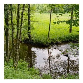 Schöner Belgischer Wald und Fluss, Reise Poster
