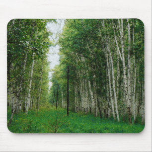 Schöner Birkenwald Mousepad
