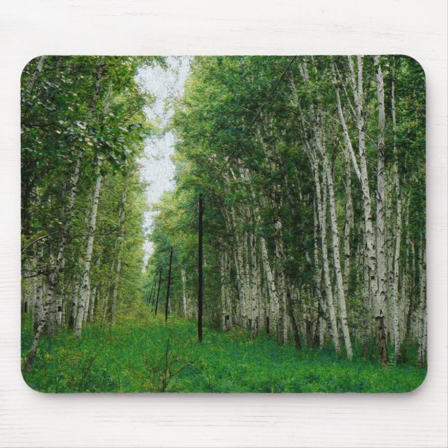 Schöner Birkenwald Mousepad (Vorne)