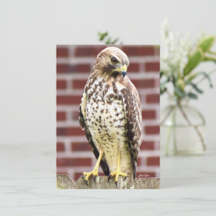 Schöner Blatt-Karte