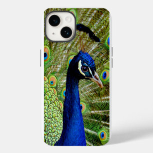 Schöner blauer grüner Pfauen Vogel Hübsch iPhone 14 Hülle