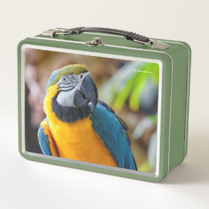 Schöner Blauer Papagei-Vogel Metall Brotdose