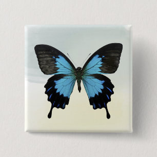 Schöner blaues Schwarz-Schmetterling auf Aquarell Button