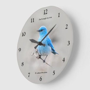 Schöner Bluebird Songbird auf Tansy Große Wanduhr