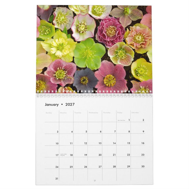 Schöner Blumenkalender 2013 Kalender (Jan 2027)