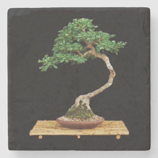 Schöner Bonsai Tree Untersetzer (Vorderseite)