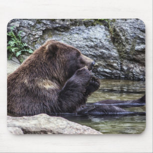 Schöner Brown-Grizzlybär Mousepad