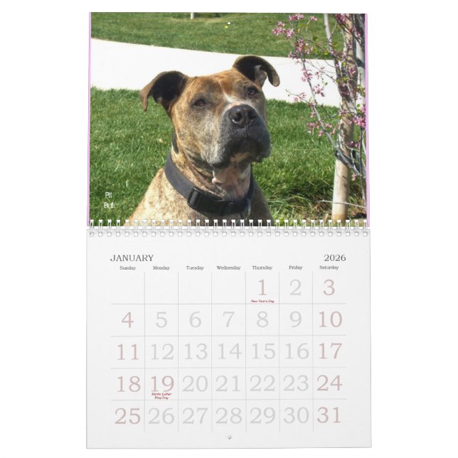 Schöner Bullys 2011 Hundekalender Kalender (Jan 2026)