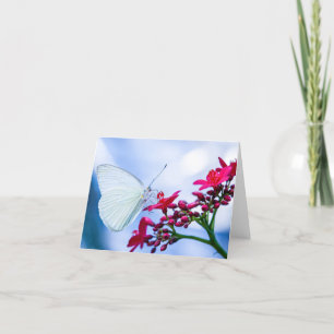 Schöner Butterfly-Blank-Notecard Dankeskarte
