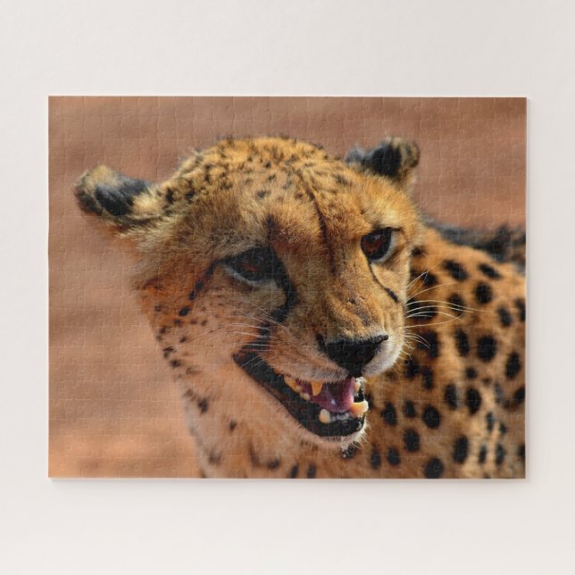 Schöner Cheetah Predator, Jigsaw Puzzle (Horizontal)