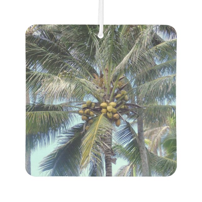 Schöner Coconuts Autolufterfrischer (Vorderseite)