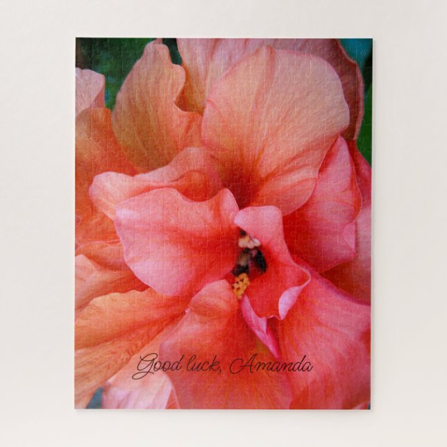 Schöner Coral Orange Hibiskus Blume Individuelle N (Vertikal)