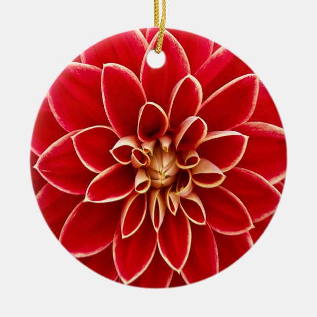 Schöner Dahlie-Blumen-Blumenblatt-Entwurf Keramikornament (Vorne)