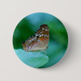 Schöner Danaus Plexippus Butterfly auf dem Leaf. Button