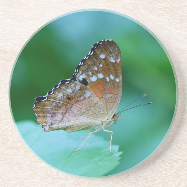 Schöner Danaus Plexippus Butterfly auf dem Leaf. Getränkeuntersetzer (Vorne)