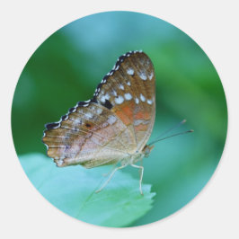 Schöner Danaus Plexippus Butterfly auf dem Leaf. Runder Aufkleber