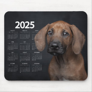 Schöner deutscher Kurzzeitbericht 2025 Mousepad