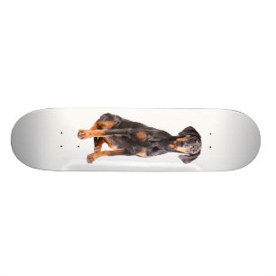 schöner Dobermann Pinscher Skateboard