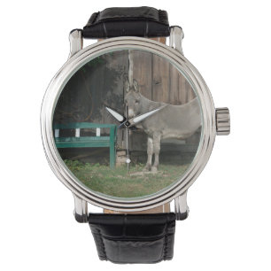 Schöner Donkey neben der hölzernen grünen Bank Armbanduhr