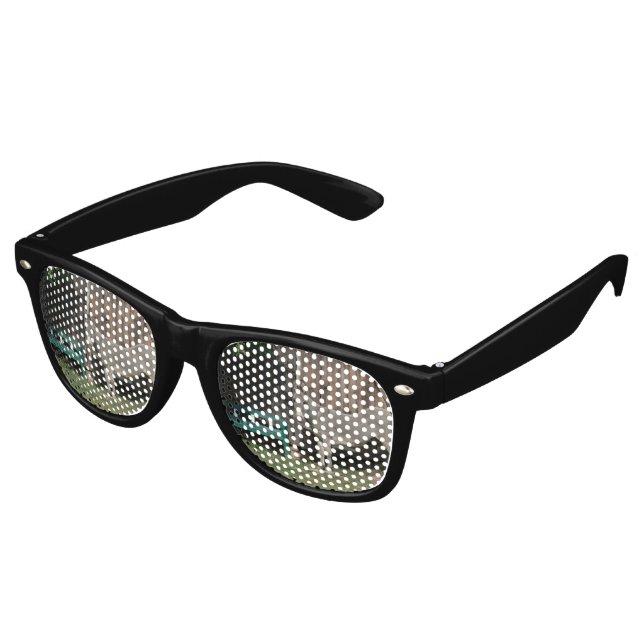 Schöner Donkey neben der hölzernen grünen Bank Sonnenbrille (Schrägansicht)