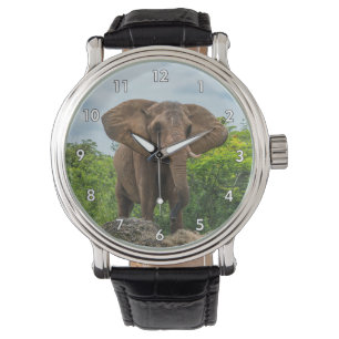 Schöner Elefant im Gras spielen Armbanduhr