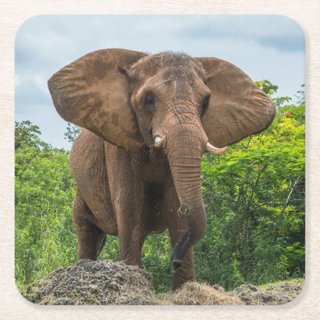 Schöner Elefant im Gras spielen Rechteckiger Pappuntersetzer (Vorderseite)