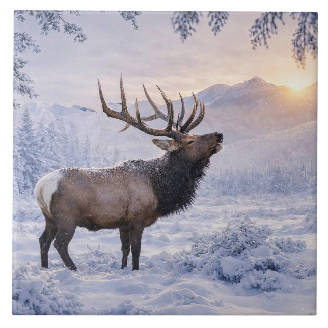 Schöner Elk im Schnee Kunst Fliese (Vorderseite)