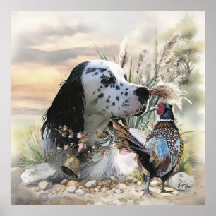 Schöner englischer Setter mit Pheasant , Kunst Poster