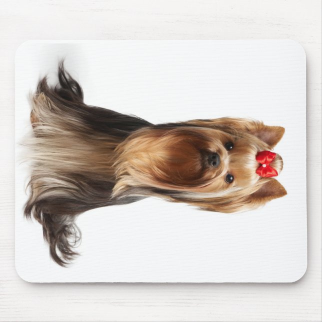 Schöner entzückender Hund Mousepad (Vorne)