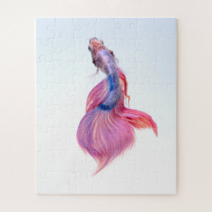 Schöner Fantasy Koi Fisch