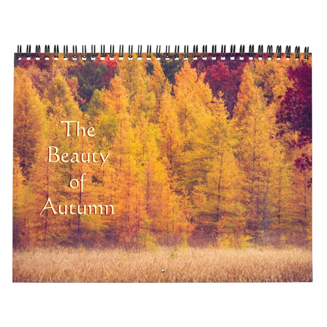 Schöner, farbenfroher Fotokalender für den Herbst Kalender (Titelbild)