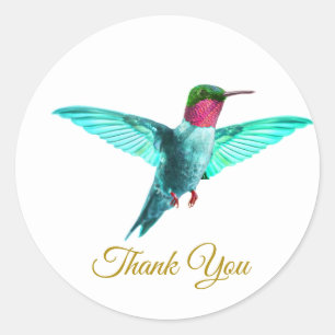 Schöner farbenfroher Kolibri & goldenes Danke Runder Aufkleber