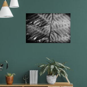 Schöner Farn schwarz und weiß Poster