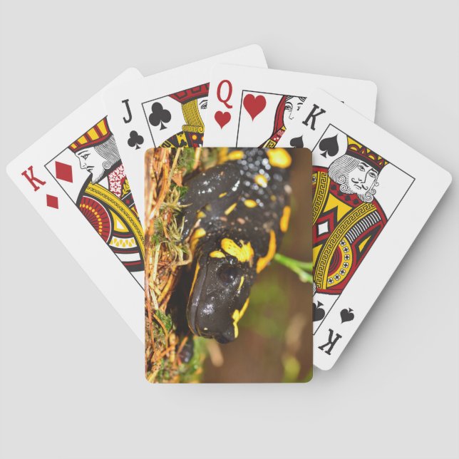 Schöner Feuersalamander Spielkarten (Rückseite)