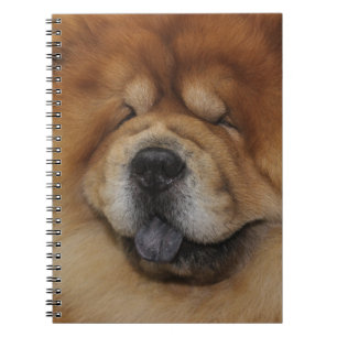 SCHÖNER FLÜFFE ROT CHOW CHOW CHOW HUND NOTIZBLOCK