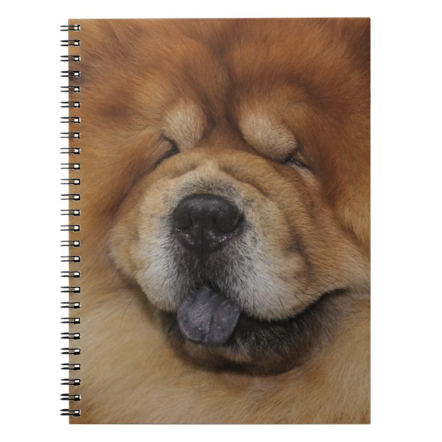 SCHÖNER FLÜFFE ROT CHOW CHOW CHOW HUND NOTIZBLOCK (Vorderseite)