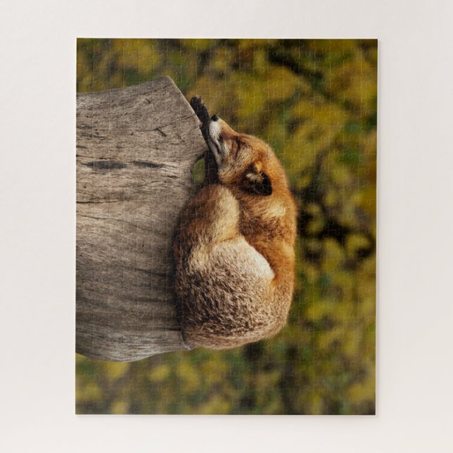 Schöner Fox Schlafen auf einem Baumstumpf (Vertikal)