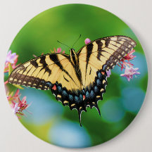 Schöner Frack-Schmetterling auf hübschen Blume