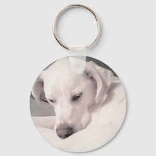Schöner Friedlicher White Labrador Mix Dog Schlüss Schlüsselanhänger