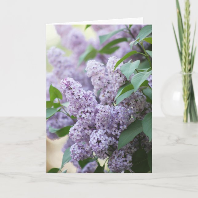 Schöner Frühling alt modische Lilac Blank Karte (Vorderseite)