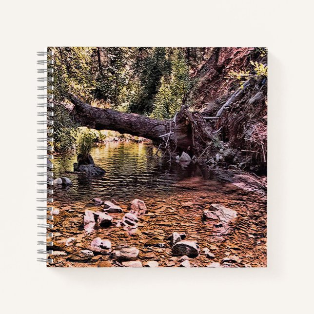 Schöner Frühlingmorgen.... Notizbuch (Vorderseite)