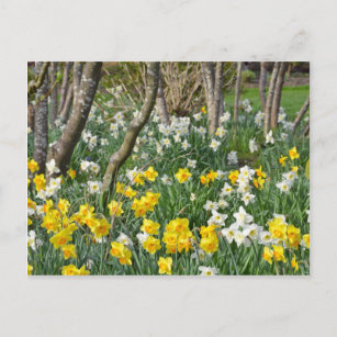 Schöner Frühlingsgarten Postkarte