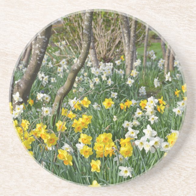 Schöner Frühlingsgarten Untersetzer (Vorne)