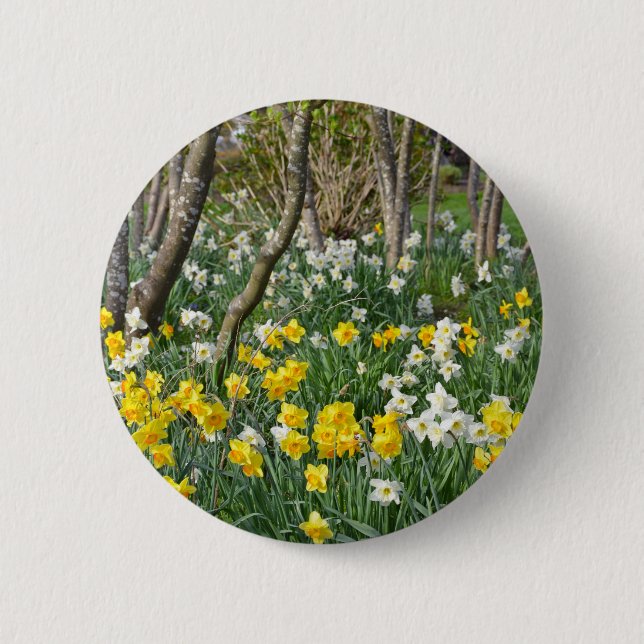 Schöner Frühlingsnarzissengarten Button (Vorderseite)