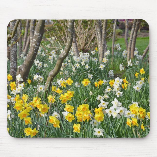 Schöner Frühlingsnarzissengarten Mousepad (Vorne)